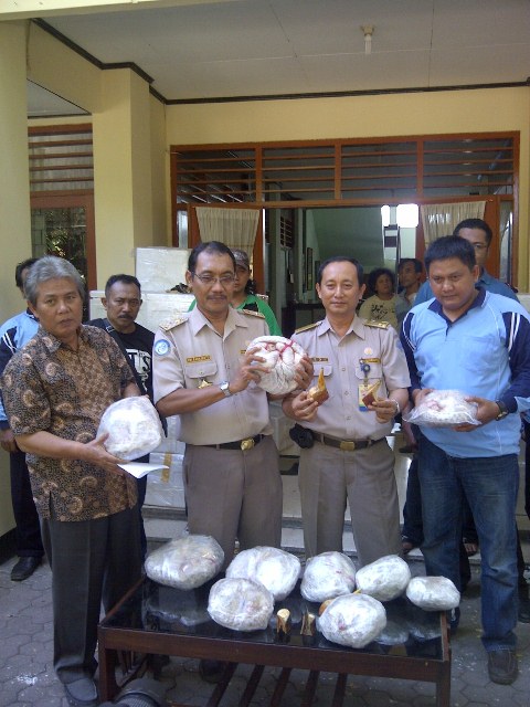 Penyelundupan Trenggiling