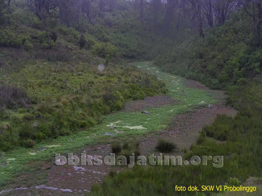 Cagar Alam Sungai Kolbu