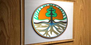 Kementerian LHK Luncurkan Dokumen FREL dan BUR