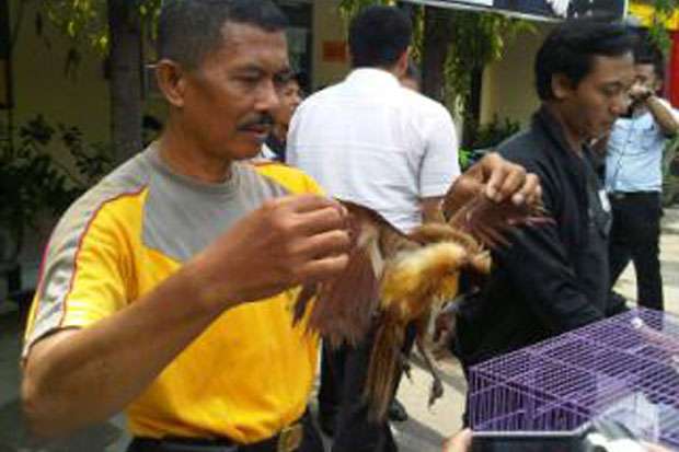 BKSDA Jatim Amankan Burung Langka