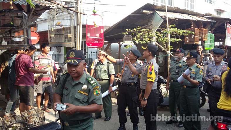 Kapolres Jember Sosialisasi  di Pasar Burung Bersama BKSDA