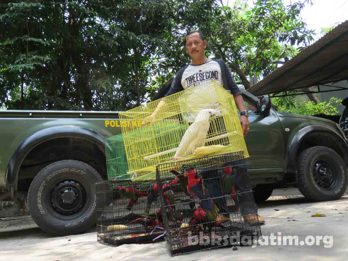Lagi, Belasan Burung Dilindungi Diamankan