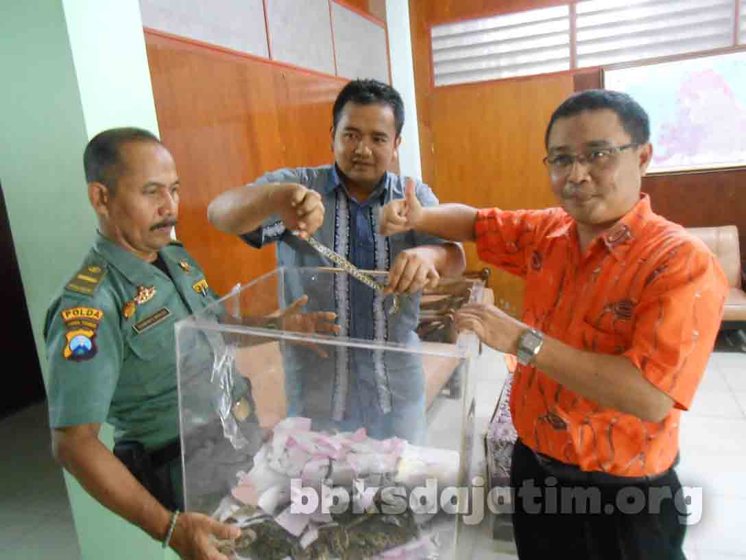 Terbongkar, Modus Penyelundupan Satwa Liar Via Pos