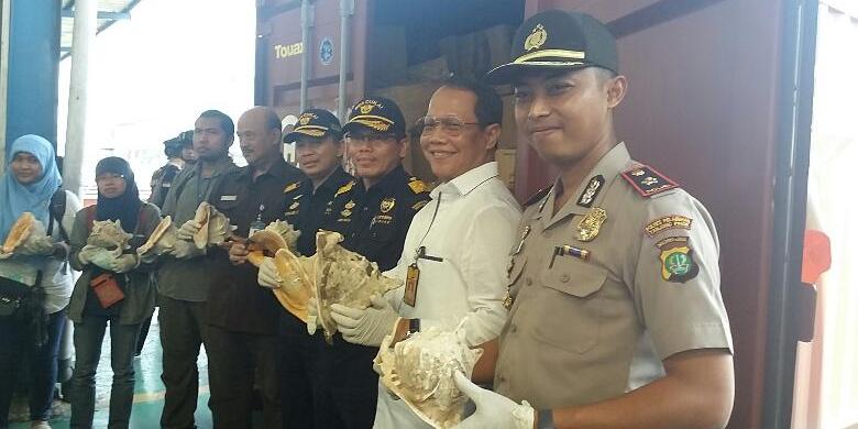 Bea Cukai Gagalkan Ekspor Satwa Dilindungi