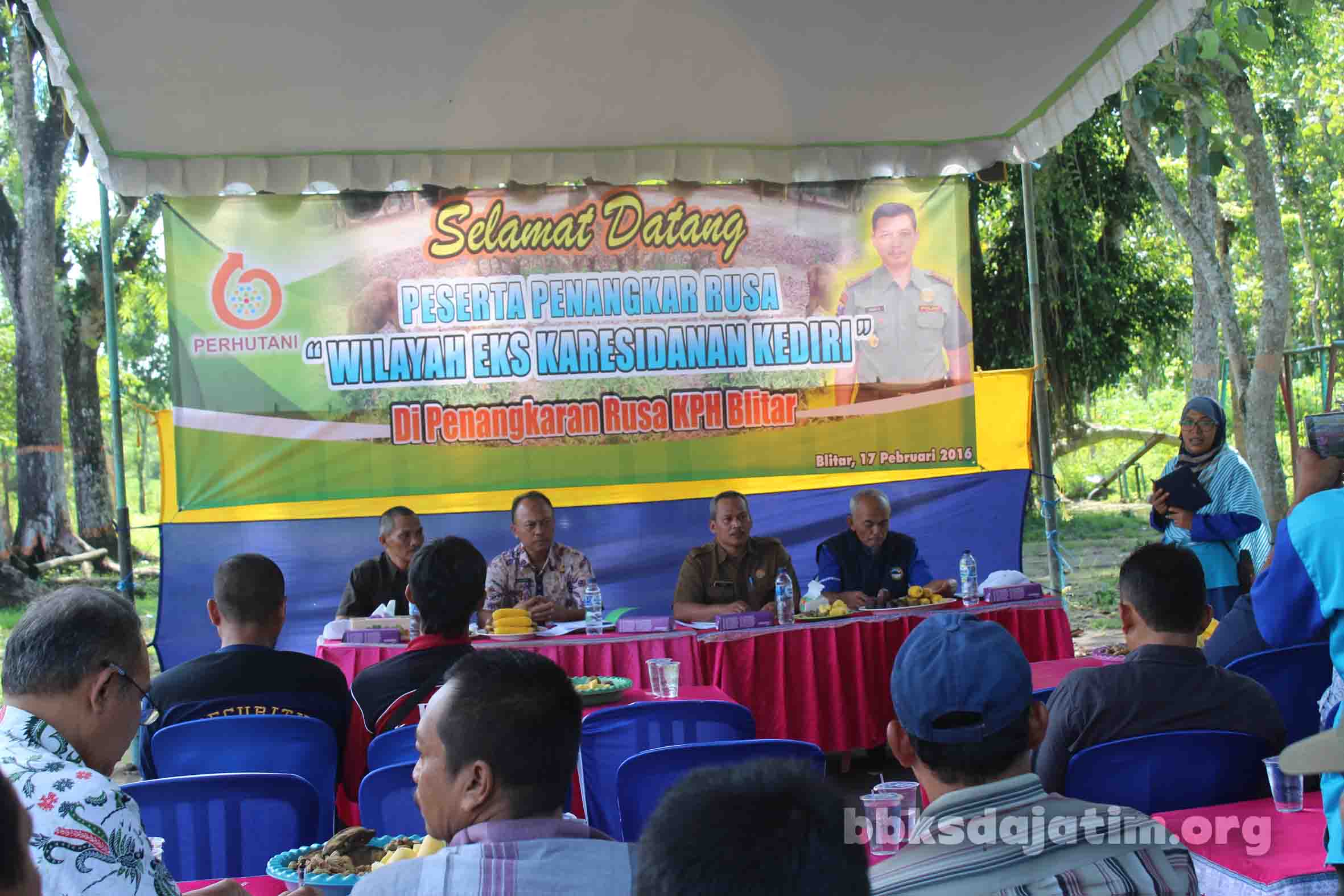 Belajar Penandaan Rusa Timor