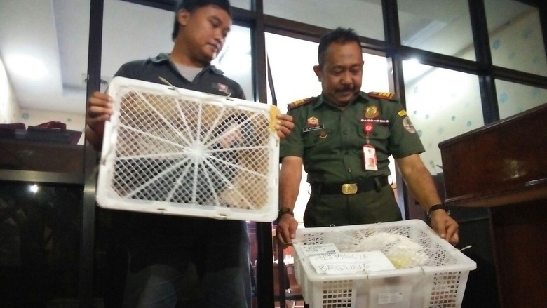 Penyelundupan Burung Langka dari Mojokerto ke Bandung Digagalkan Polisi