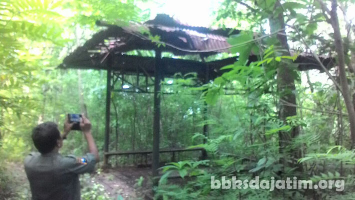 Merananya Gunung Baung