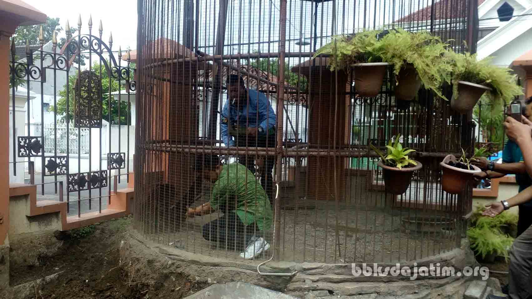 Khawatir Terjerat Hukum, Serahkan Satwa Dilindungi