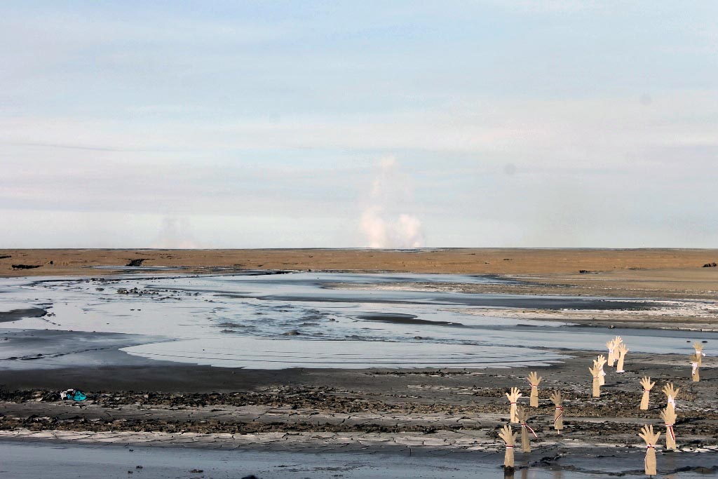 Walhi: Ancaman Bencana Ekologis di Jawa Timur Itu Ada