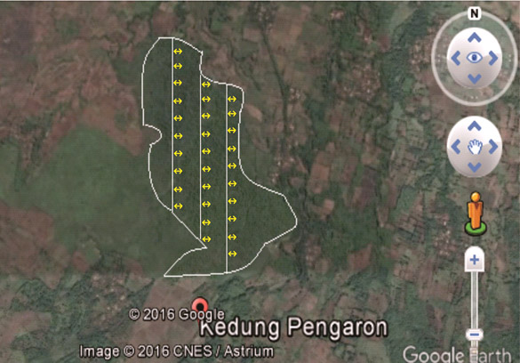 Berapa Indeks Keanekaragaman Tumbuhan Bawah Gunung Abang ?
