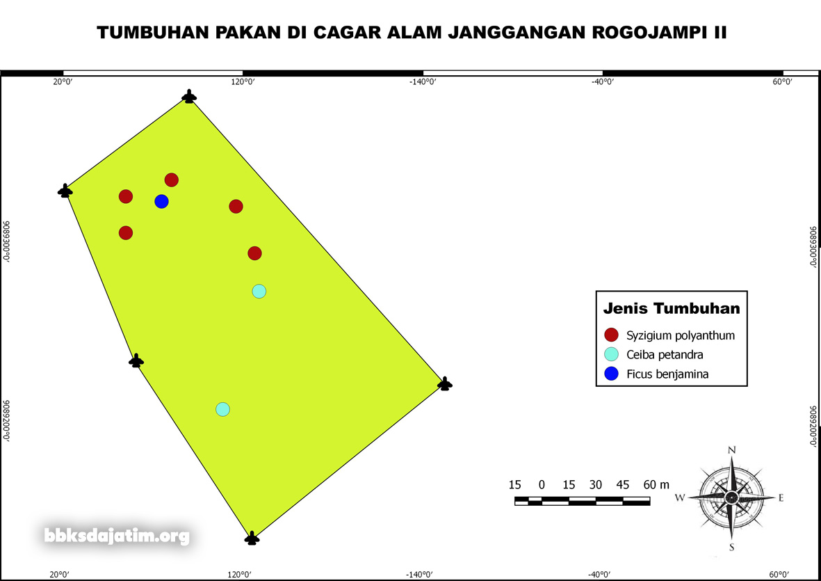 Identifikasi Tumbuhan Pakan di Janggangan Rogojampi II