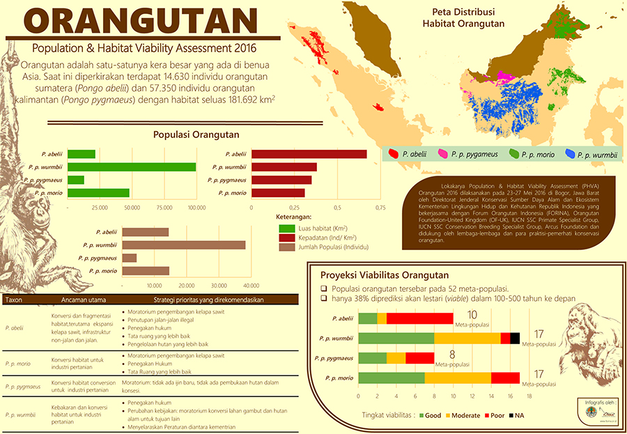 Konservasi Orangutan Masih Hadapi Kendala. Apa Saja?