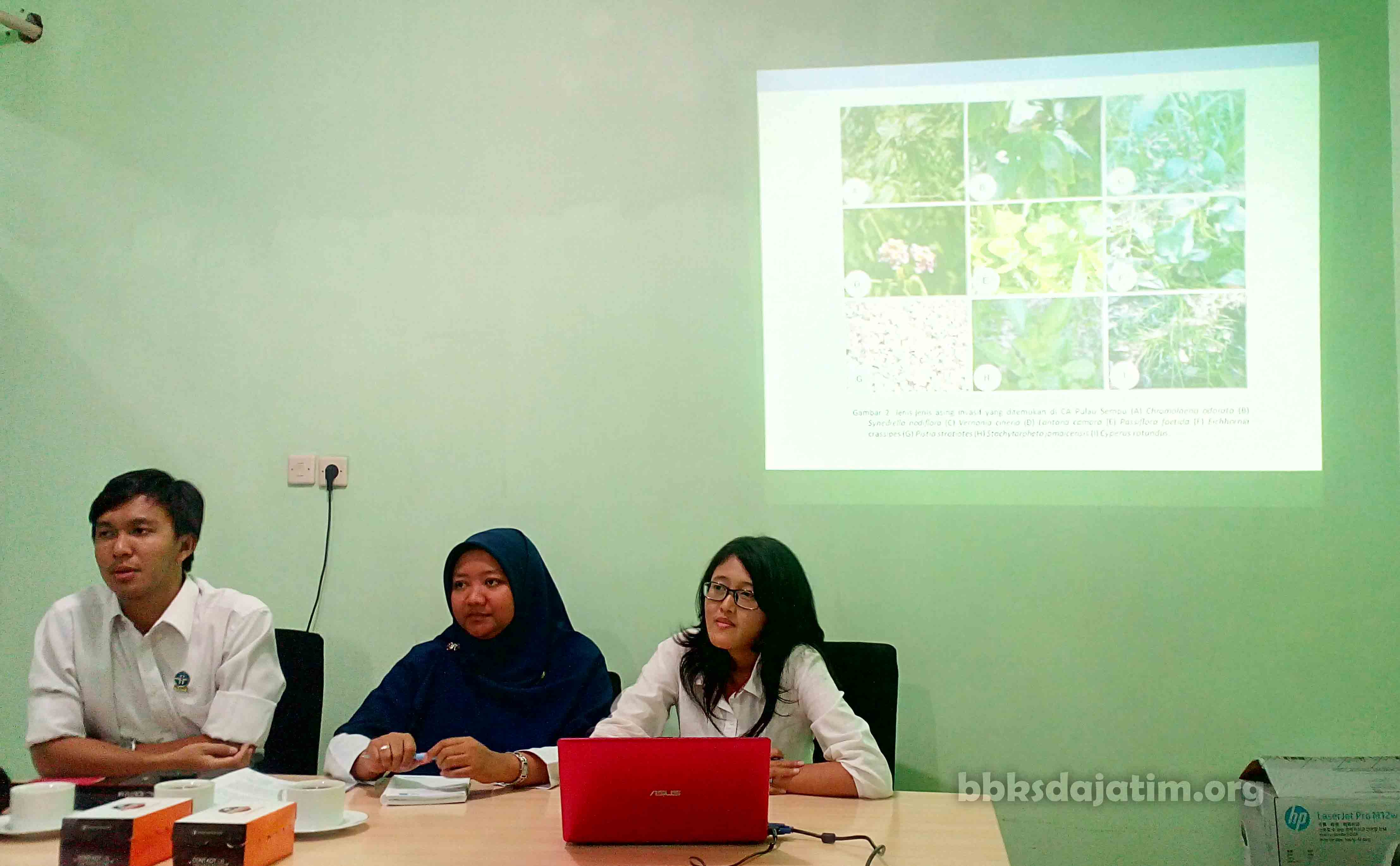 Invasive Alien Species Sudah Menyebar di Sempu