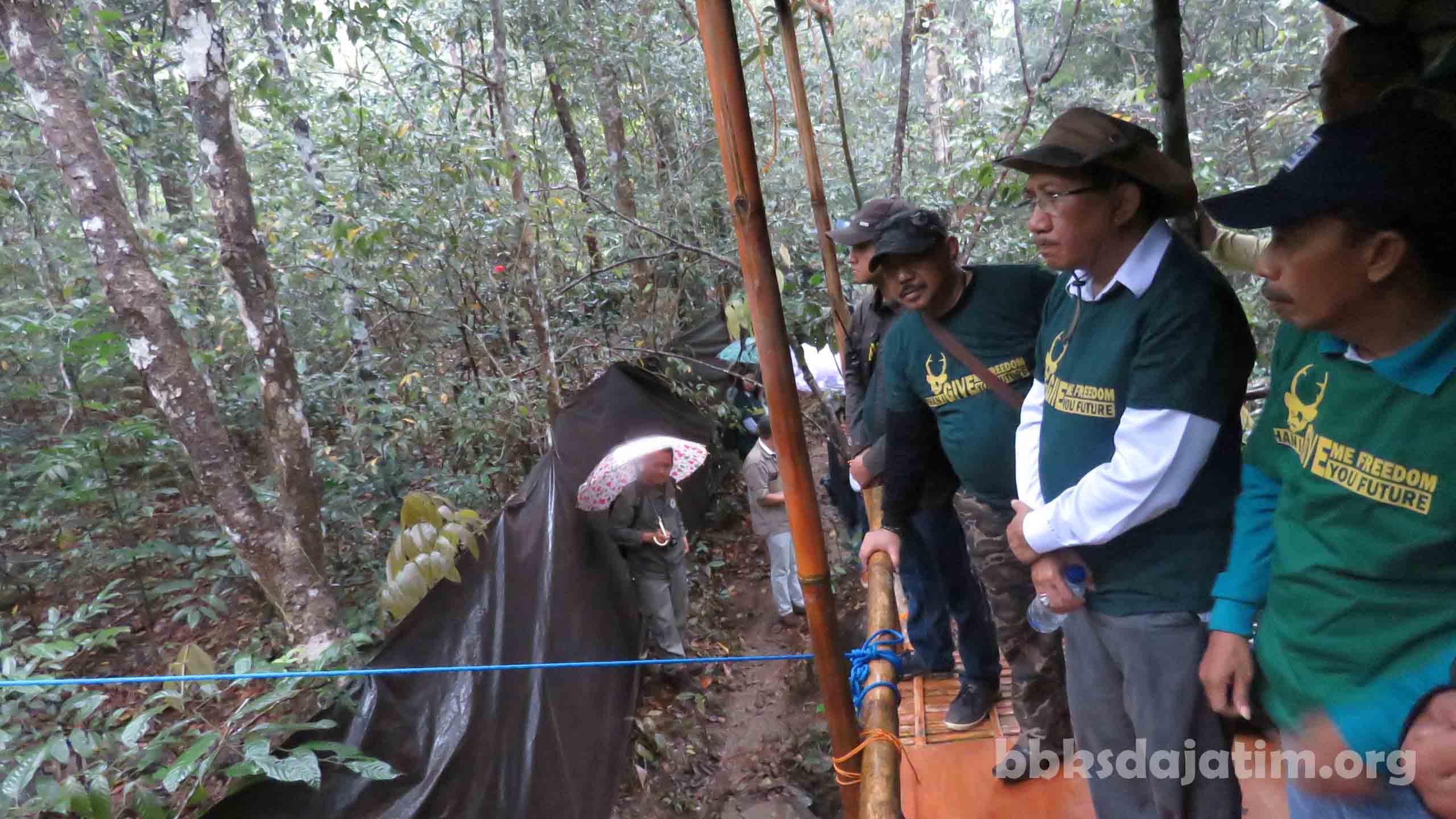 Peringati Hari Cinta Puspa, Sekditjen Lepasliarkan Rusa Bawean