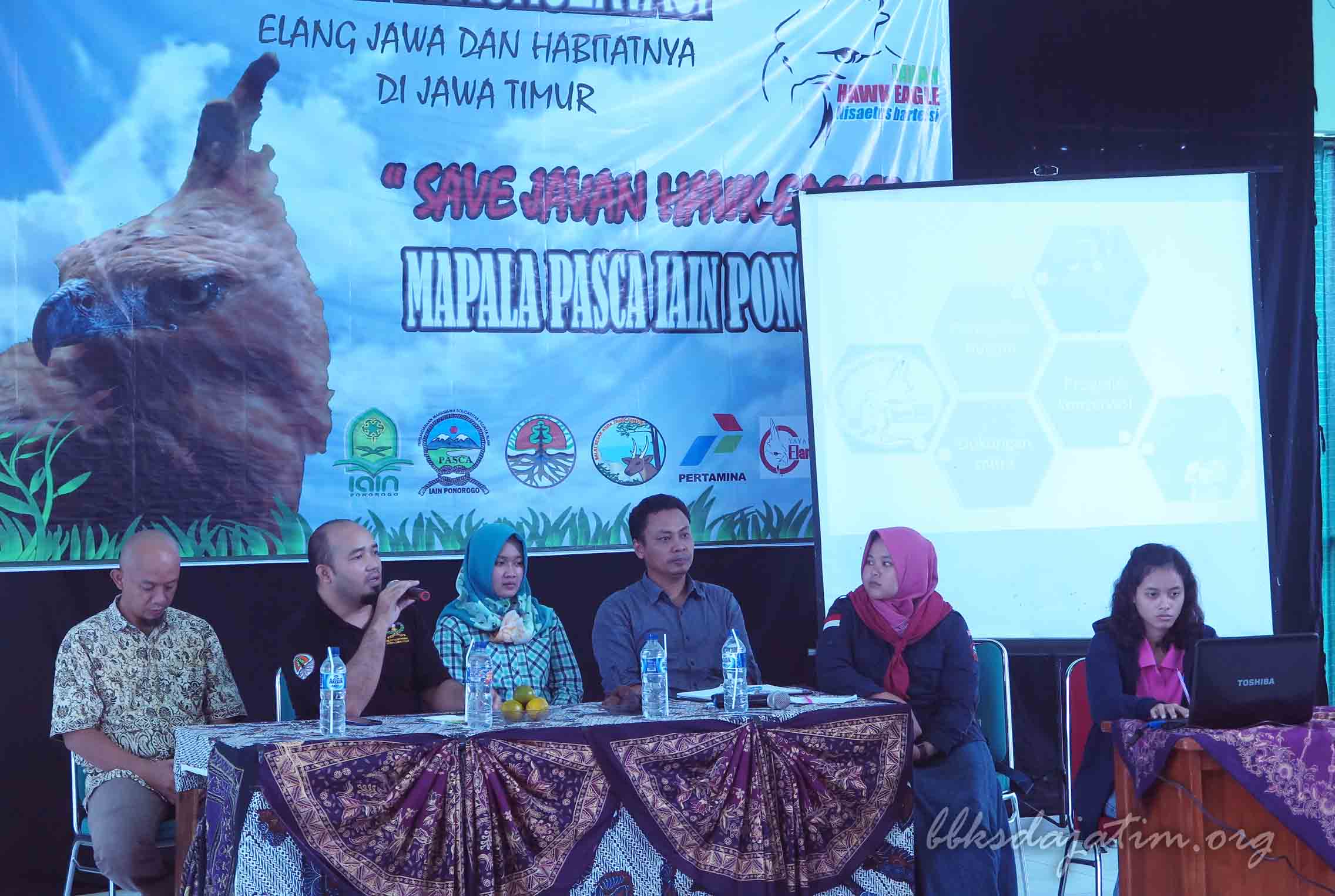 Tanamkan Kecintaan Pada Elang Jawa, BBKSDA Jatim Gandeng Pertamina