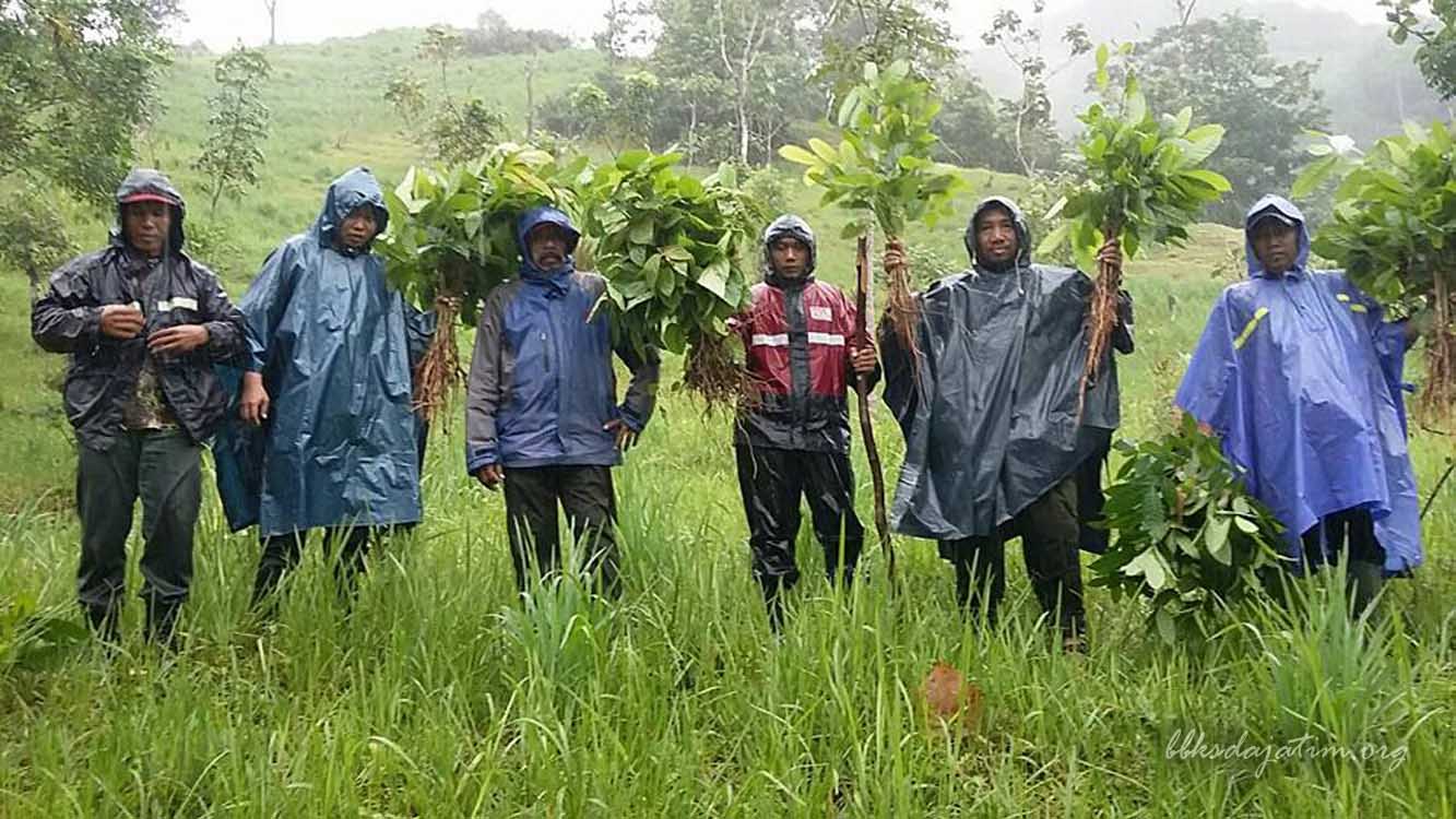 1.000 Bibit Ditanam GP. Ansor di Pulau Bawean