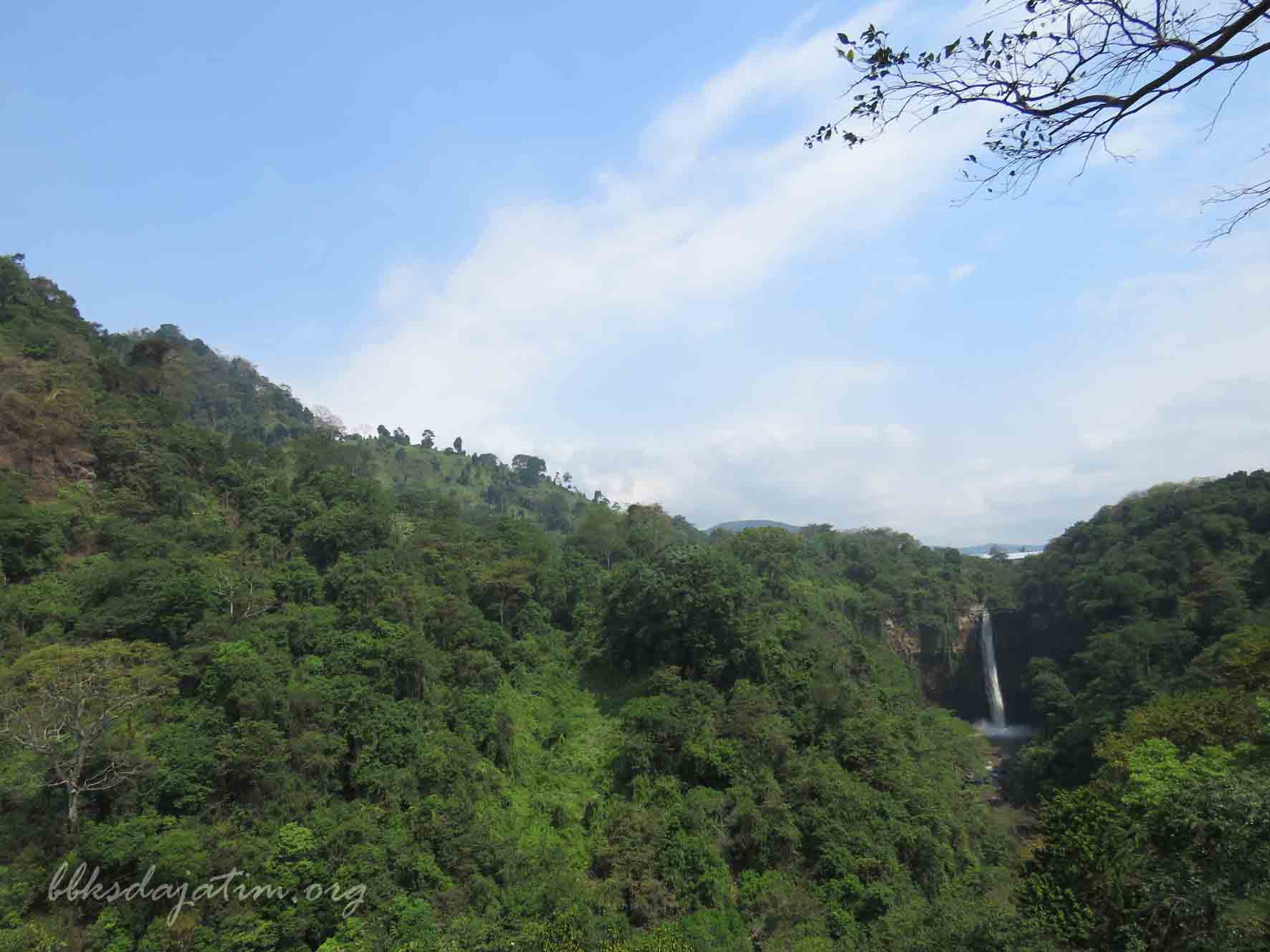 Pemulihan Ekosistem Melalui Perdirjen P. 12 Tahun 2015