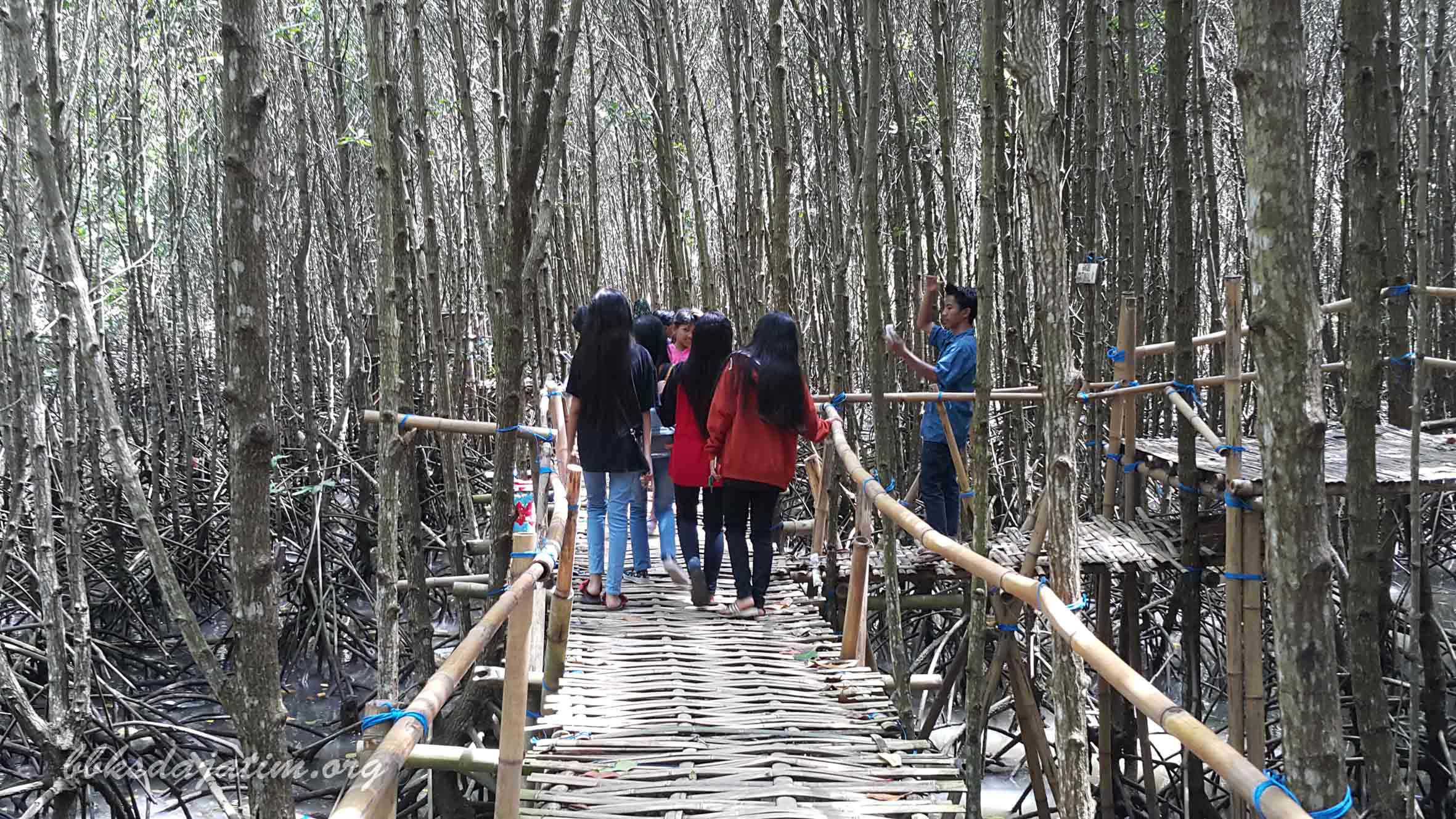 Rencana Aksi Pengelolaan Kawasan Ekosistem Esensial (KEE) Teluk Pangpang