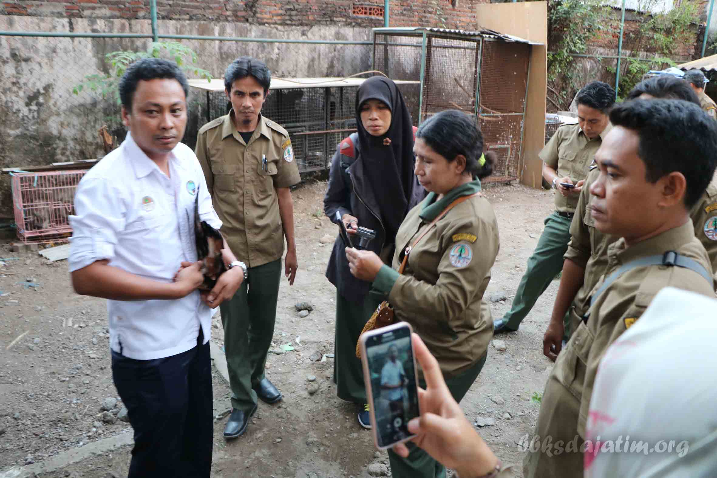 BKSDA NTB Pelajari Rehabilitasi Satwa Di BBKSDA Jatim