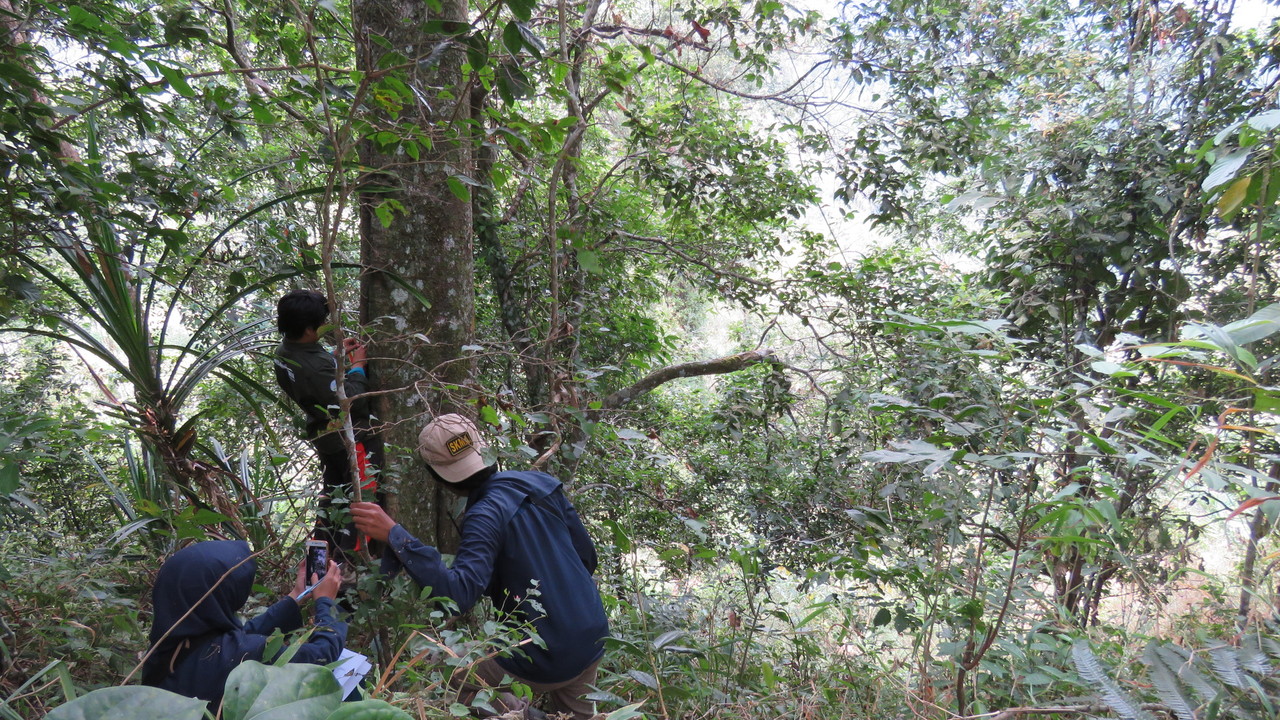 Hari Ketiga Summer Camp, Jumpai Elang Jawa