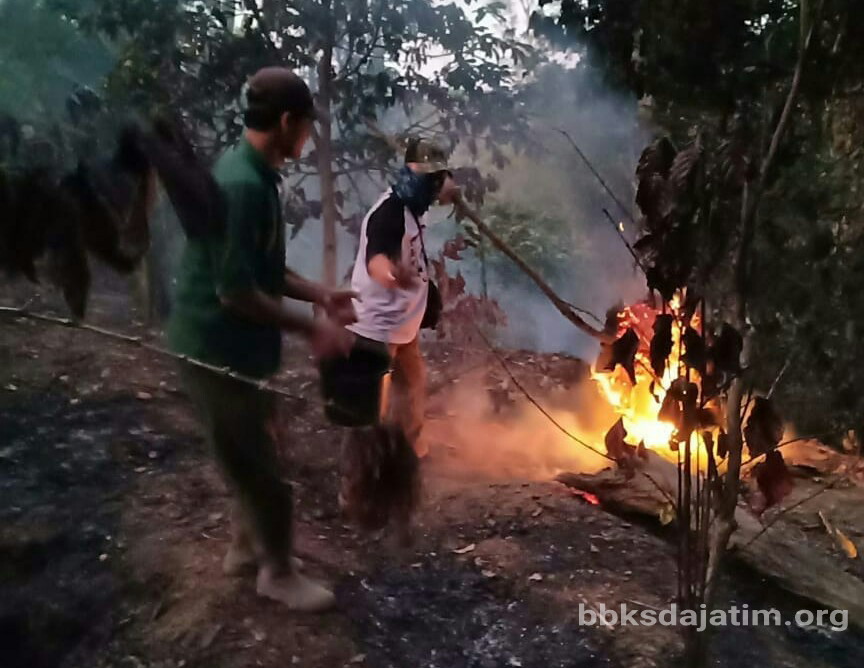 Api Hampir Lalap Besowo