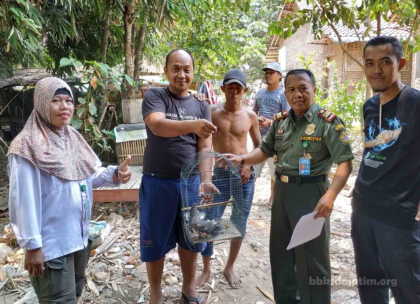 Evakuasi Burung Migran
