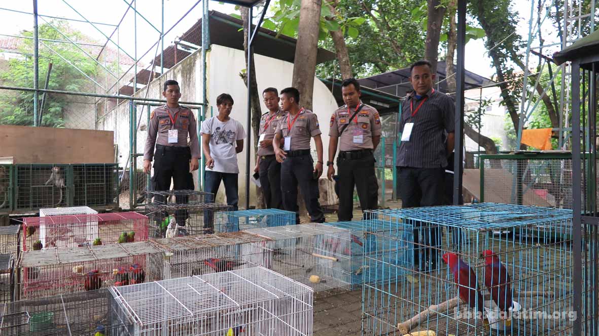 25 Peserta Prolat BA Gakkum Polair Praktek Ke BBKSDA Jatim