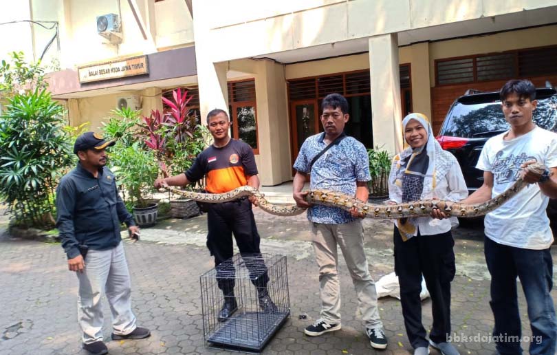 Mengenal Command Center 112 Surabaya