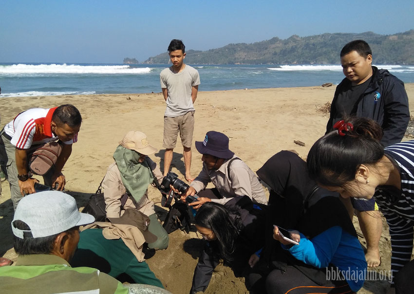 Rangkaian Pembentukan KEE Pantai Taman Kili-Kili