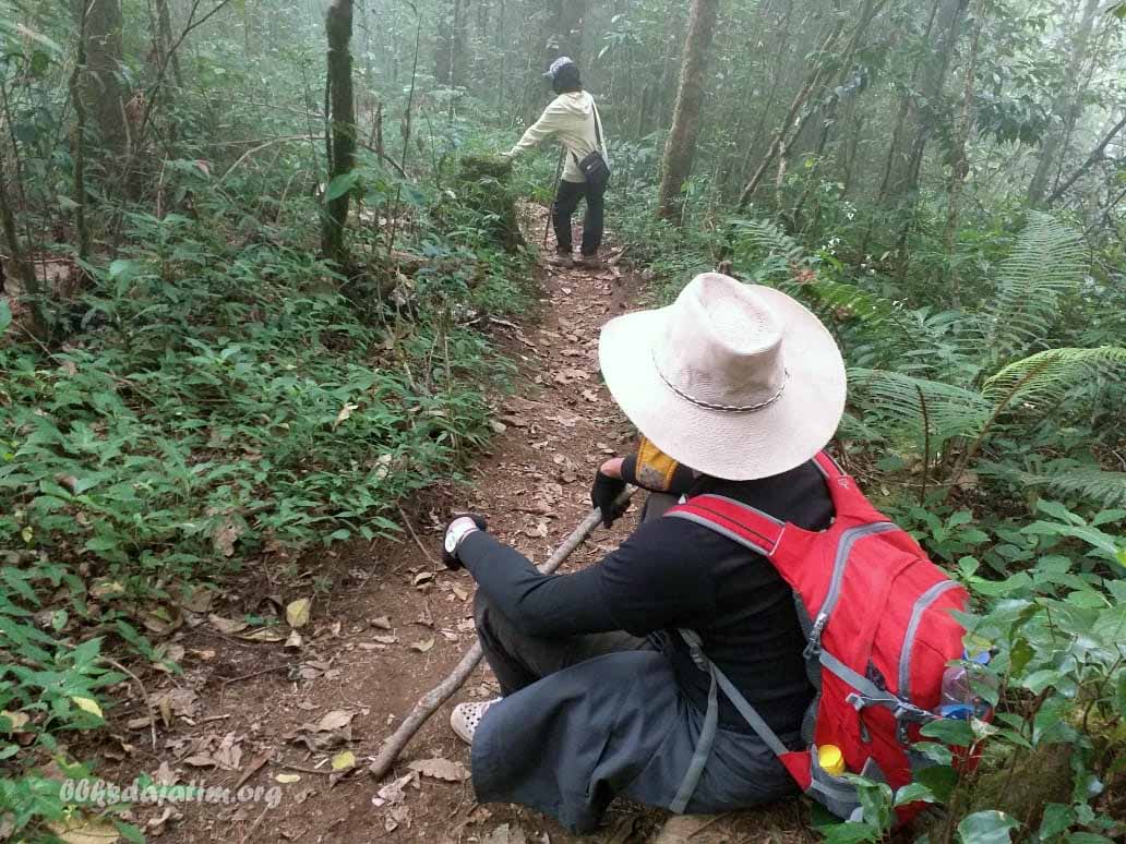 Asyik Telusuri Hutan Lumut, Tim Road to HKAN Temukan Tanaman Obat