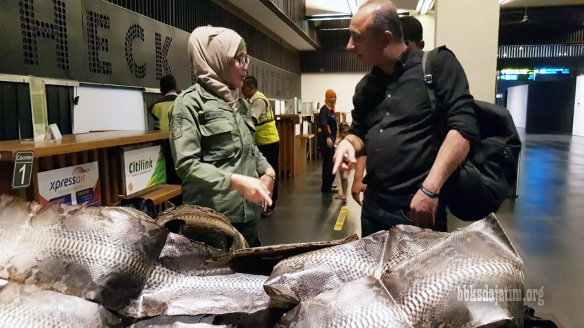 Lagi, Upaya Penyelundupan Satwa Liar Digagalkan Di Bandara Internasional Banyuwangi