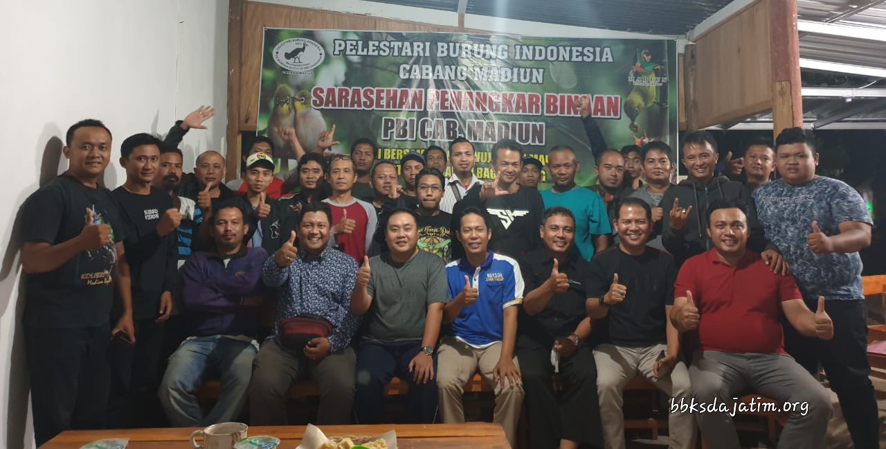 PBI Madiun : 2020 Burung Lomba Hasil Penangkaran