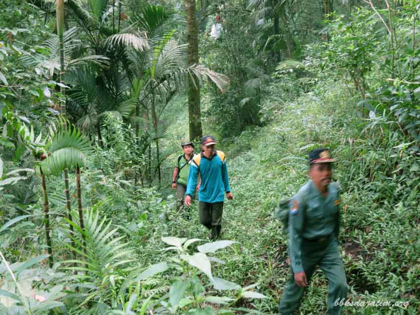 Cagar Alam Gunung Picis