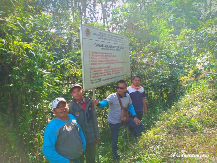 Cagar Alam Pancur Ijen I dan II