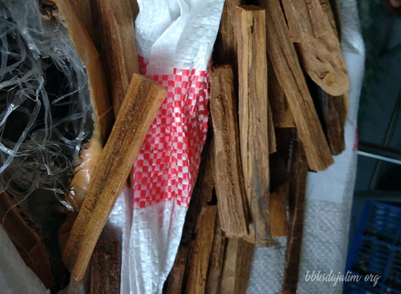 BBKSDA Jatim Amankan Gaharu Buaya di Bandara Juanda