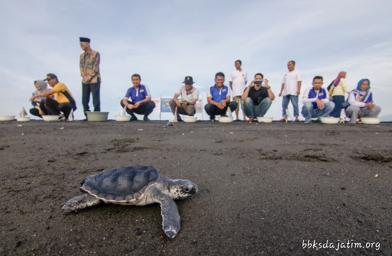 Melepas Lekang Menuju Laut Nusantara