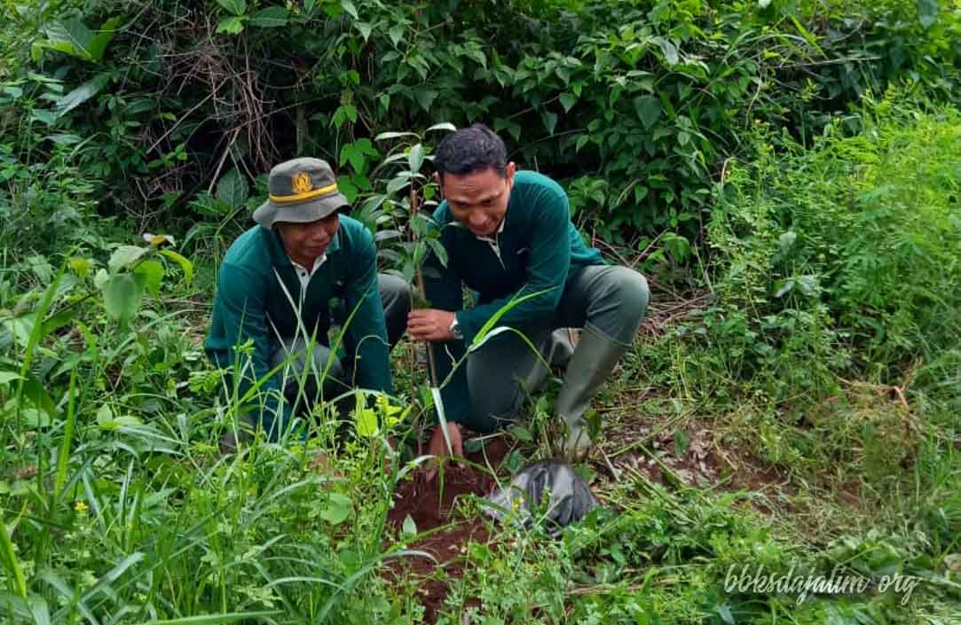 Pemulihan Ekosistem Kawasan Konservasi Yang Terdegradasi