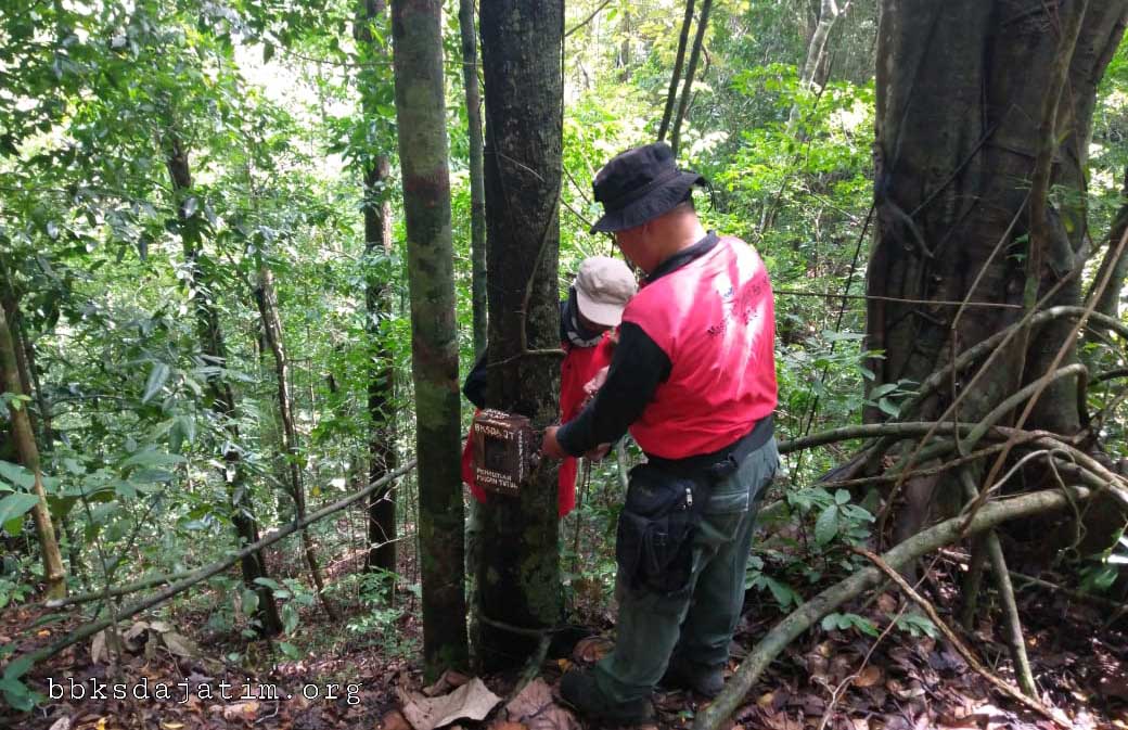 Smart Patrol Di Cagar Alam Pulau Sempu