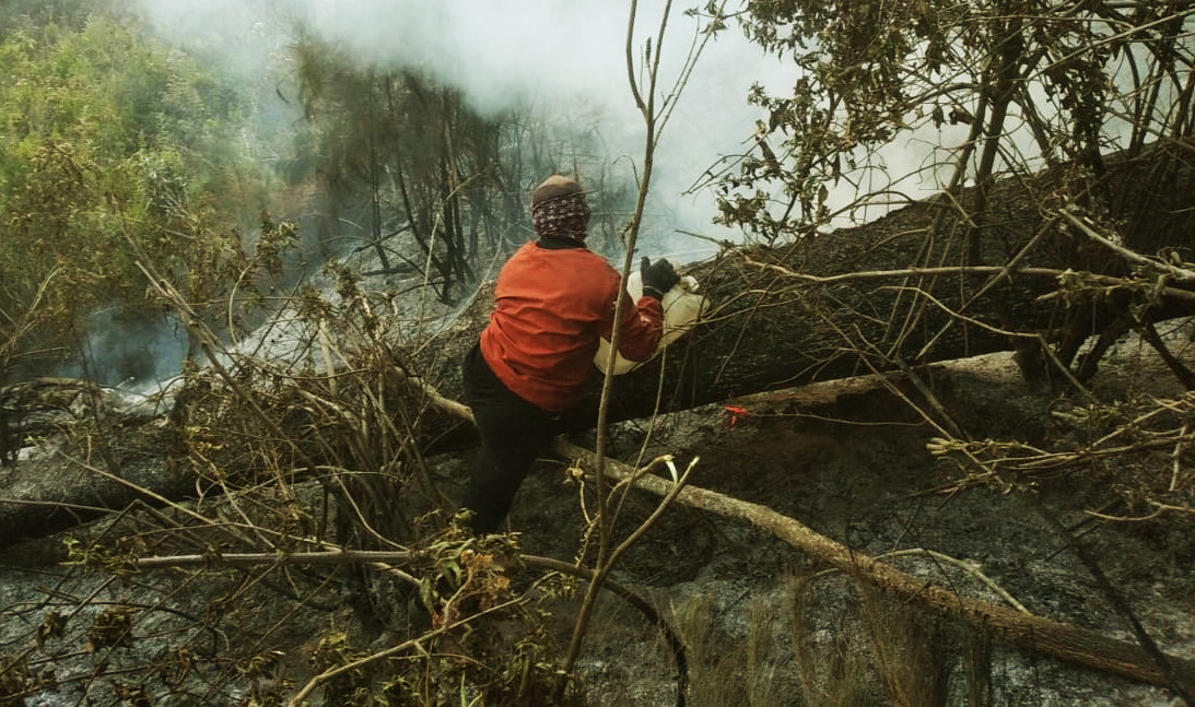 Api Melalap Gunung Argopuro, Tim Segera Memadamkannya