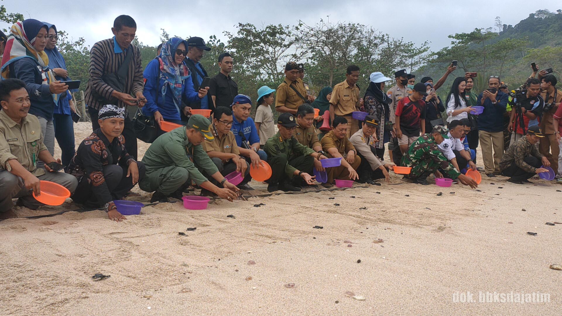 Melepas Tukik Lekang Pulang