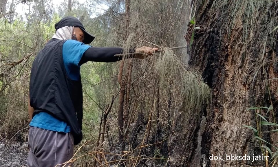 Gercep, Kebakaran Argopuro Padam Dengan Cepat