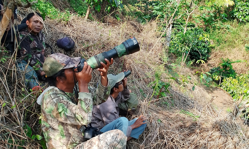 Monitoring Elang Jawa, Jumpai Kompetitor Alamnya