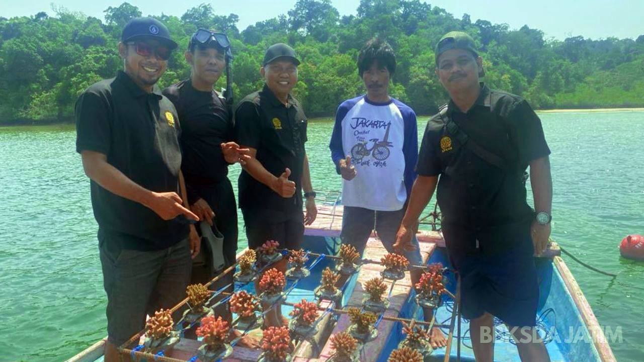 Restocking Koral, Lestarikan Karang Sekitar Cagar Alam Pulau Sempu