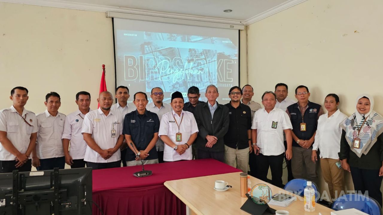 Pengelolaan Bird Strike di Bandara Internasional Juanda, Ini Rekomendasinya