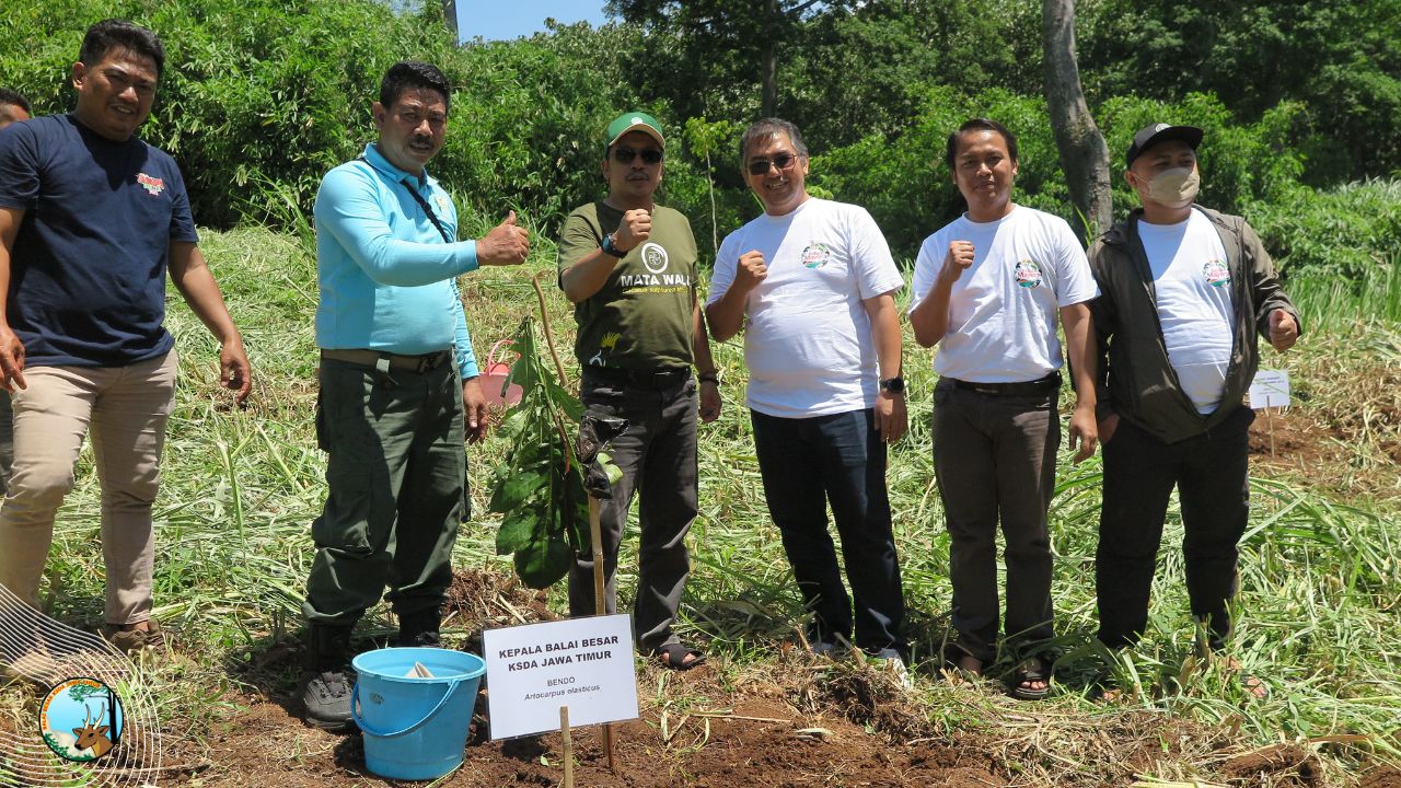Bersama Mayora, BBKSDA Jatim Tanami Kembali Kawasan Terdegradasi di Gunung Baung