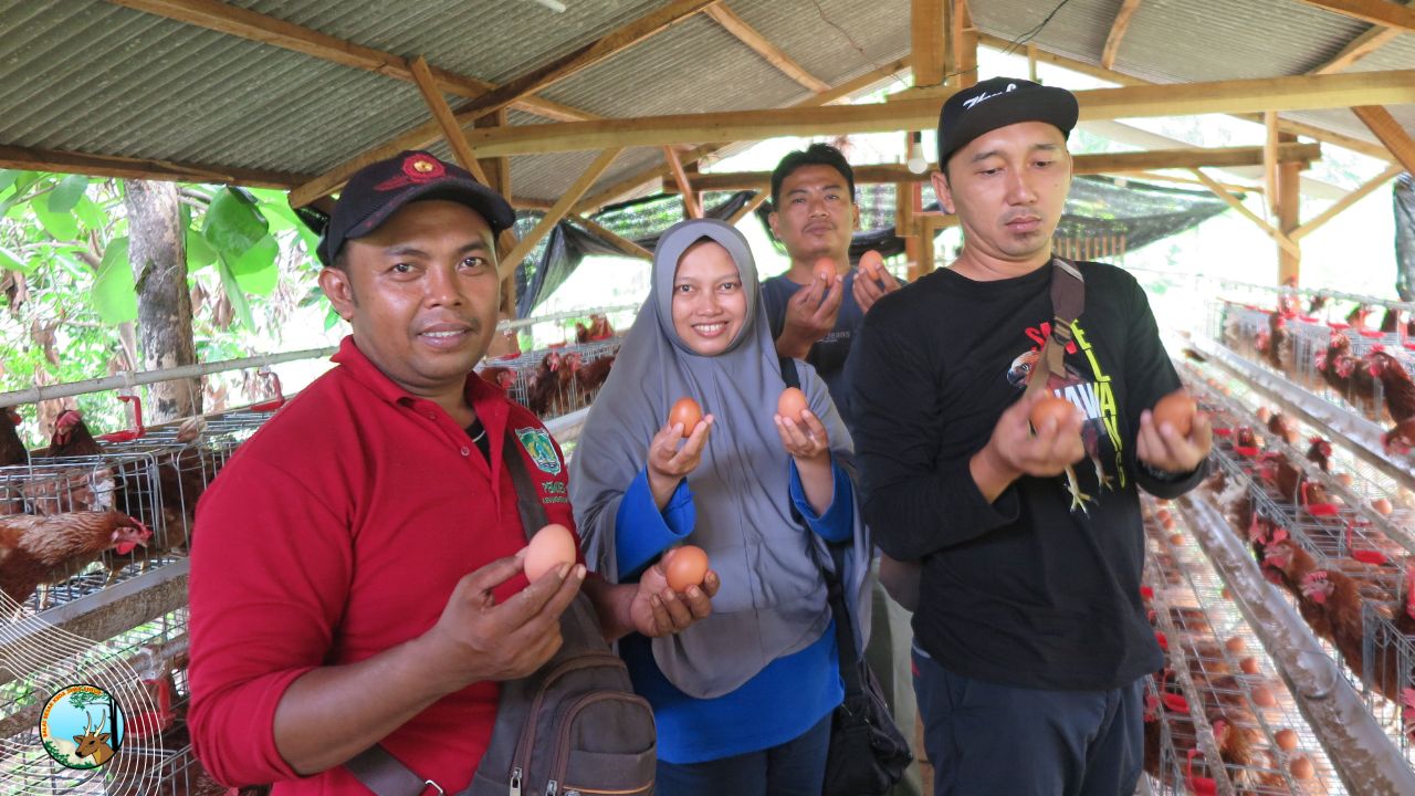Telur Ayam dari Tepi Cagar Alam Gunung Abang