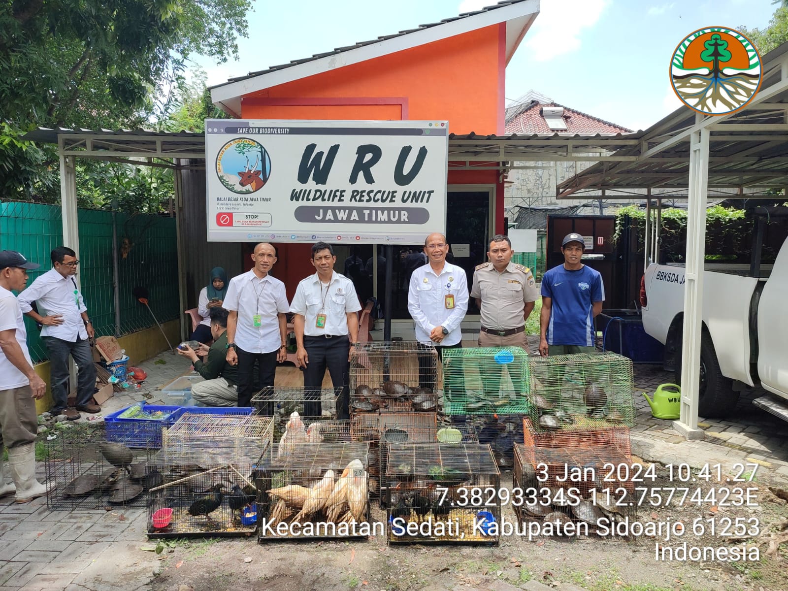 BBKSDA Jatim Segera Rehabilitasi Ratusan Satwa Selundupan