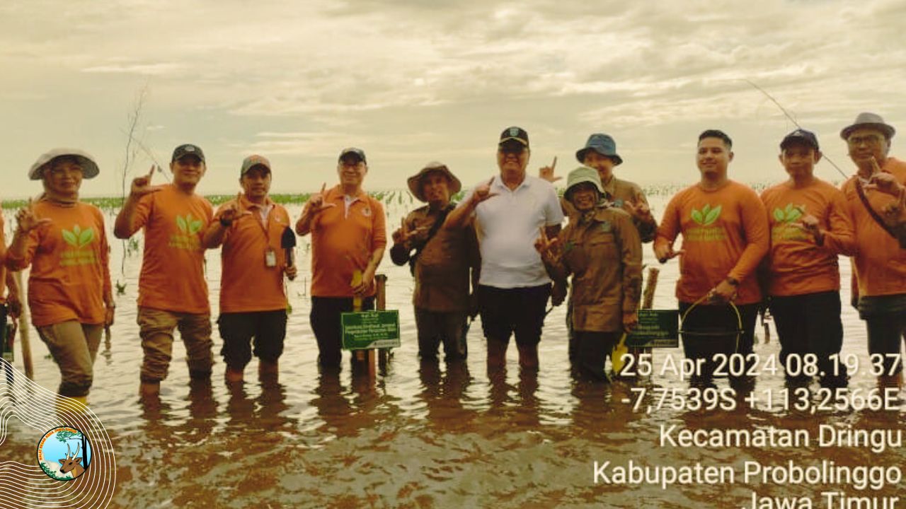 Tanam Serentak Mangrove, Ingatkan Pentingnya Ekosistem Mangrove