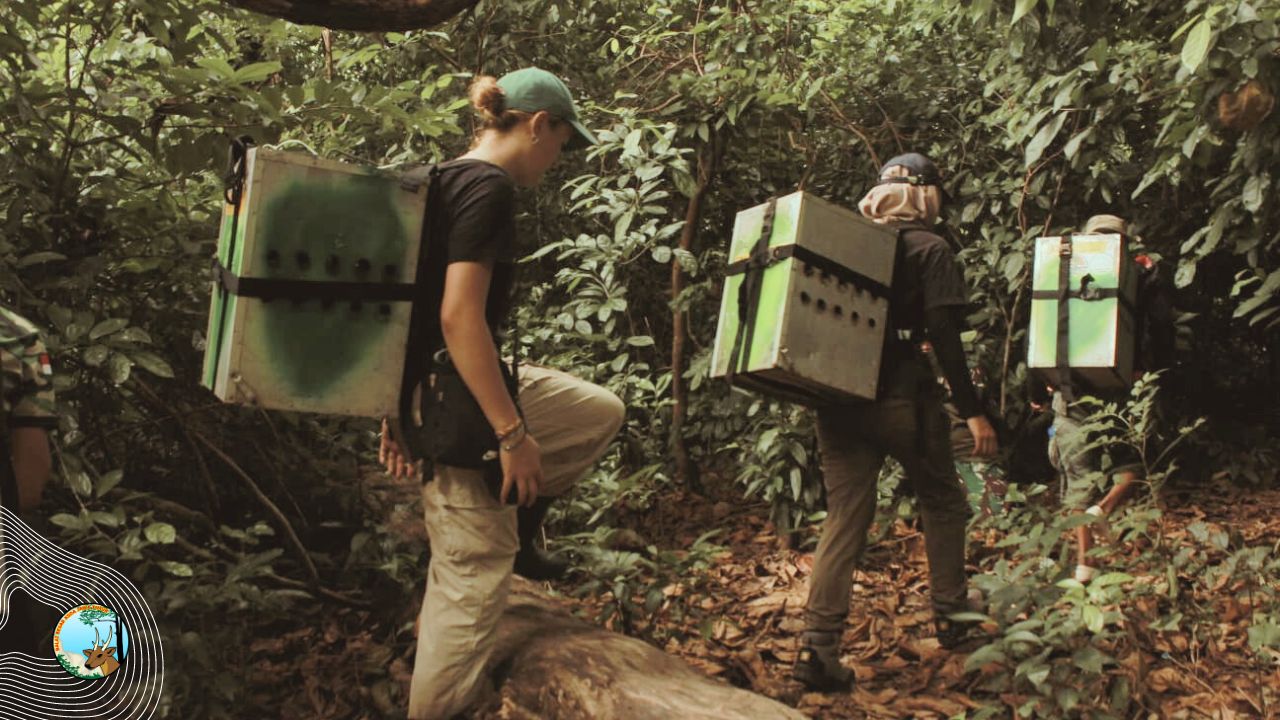 Puluhan Satwa Dilepasliarkan di Suaka Margasatwa Nusa Barung