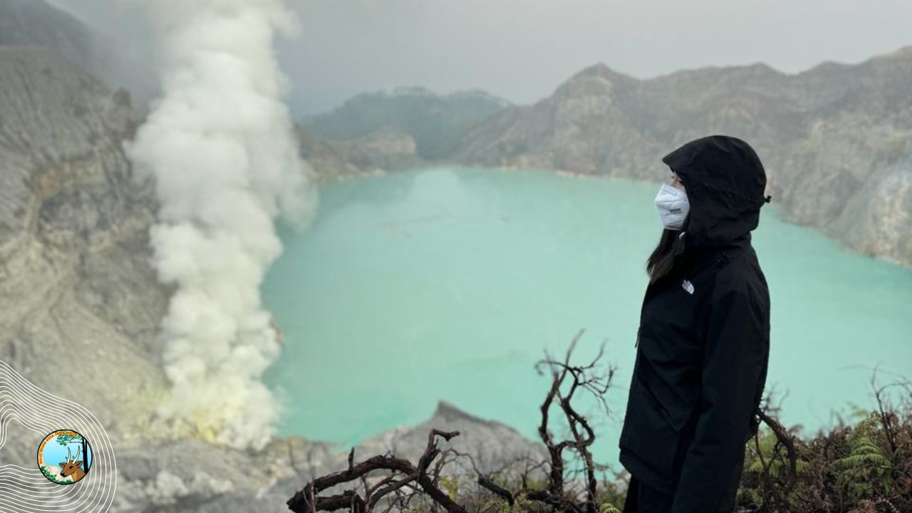 Pengumuman Pemilihan penyedia Jasa Asuransi Jiwa Pengunjung, Magang, dan Penelitian di Taman Wisata Alam, Cagar Alam, Suaka Margasatwa  lingkup Balai Besar KSDA Jawa Timur